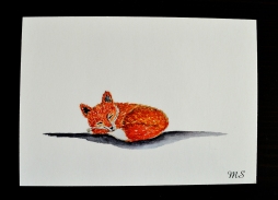 Little red fox, printed postcard