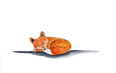 watercolor painting of a little sleeping red fox