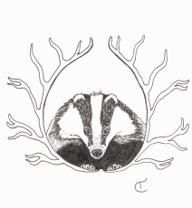 Black and white illustration of a badger